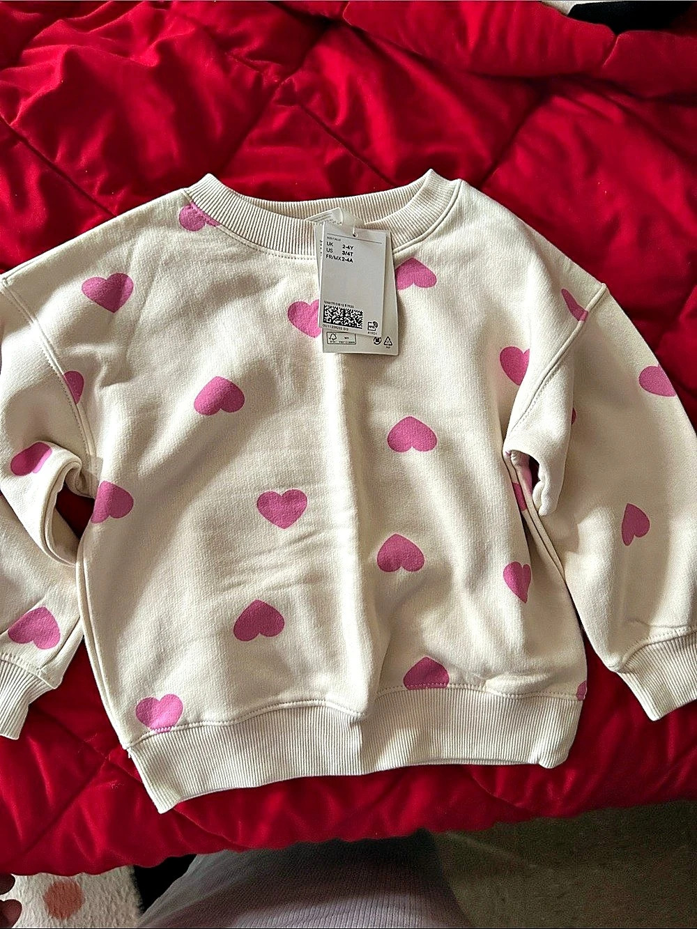 H&M Brushed-Inside Sweatshirt Kids Pink & Cream